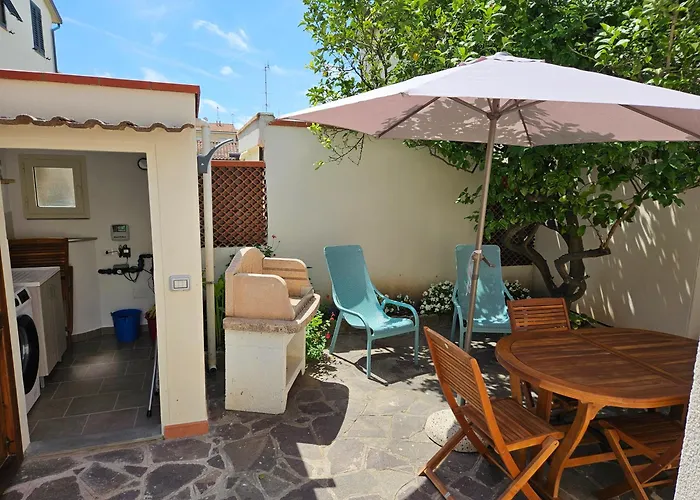 Blue Wave * San Vincenzo